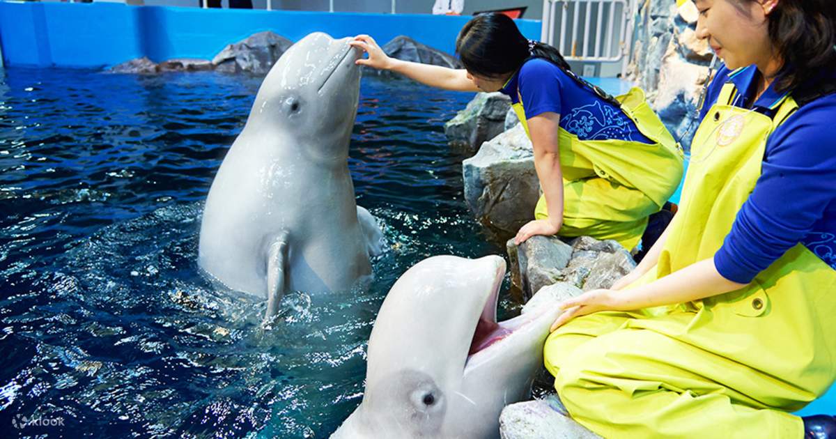 Aqua Planet Ticket In Yeosu Klook aqua-planet-ticket-in-yeosu-klook